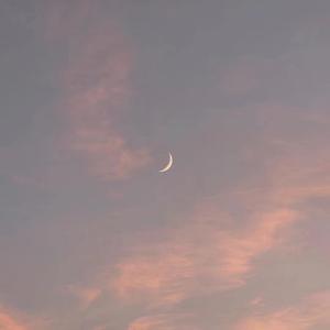 小丹让我尝尝你的味道是什么歌啊
